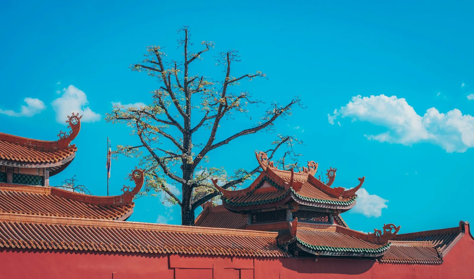 Traditional Chinese architecture framed by a clear sky