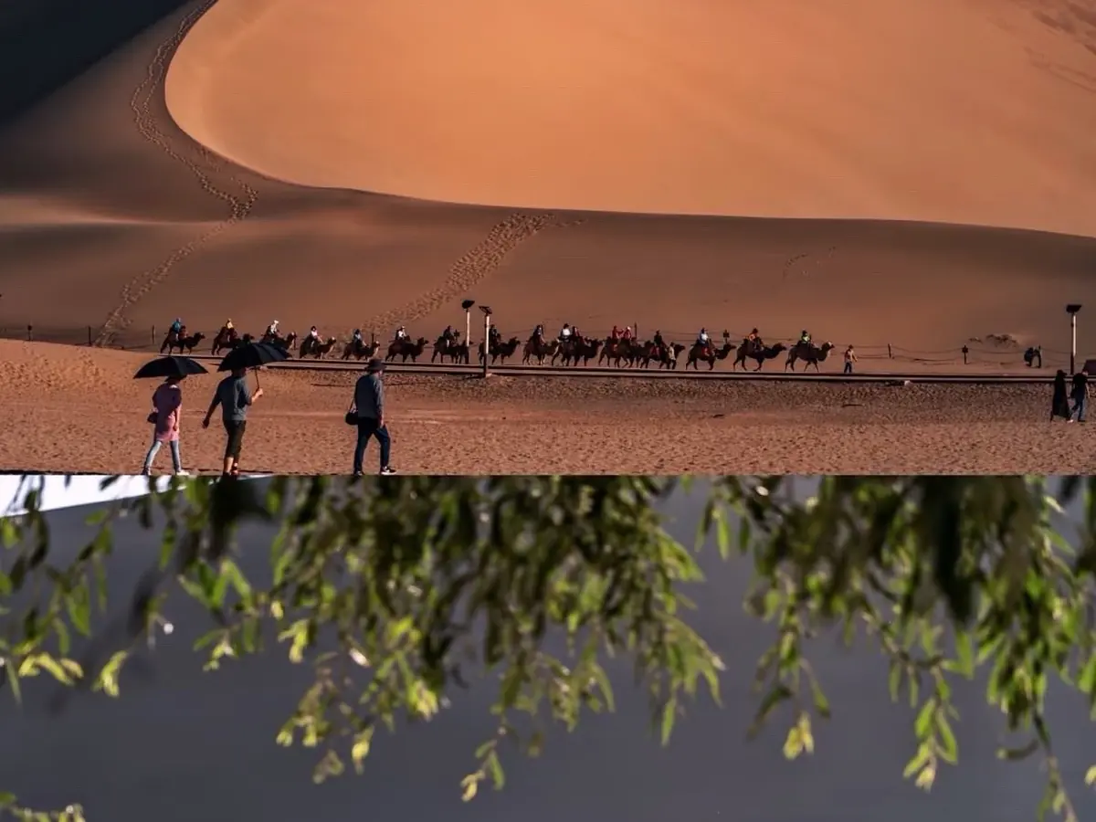 Silk Road & Desert Civilisations — Stage 6